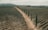 An aerial view of a vast vineyard landscape stretching into the distance, with rows of grapevines neatly aligned on either side of a dirt road. Tall, slender cypress trees line the road, adding a touch of elegance and order. The scenery is framed by gentle hills in the background, creating a picturesque, serene setting. A person in red can be seen walking along the path, adding a sense of scale to the expansive terrain.
