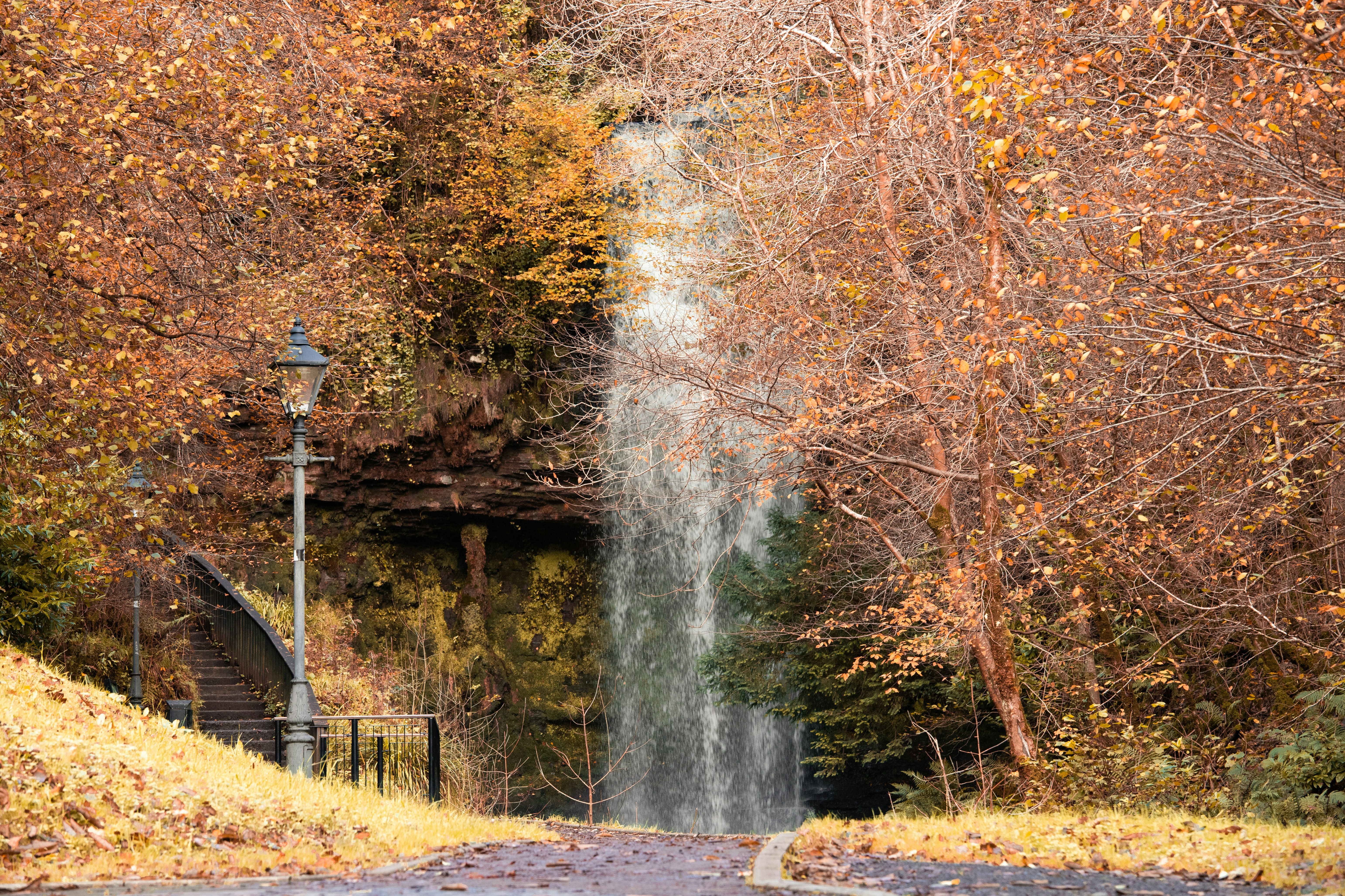 water falls in the middle of the forest