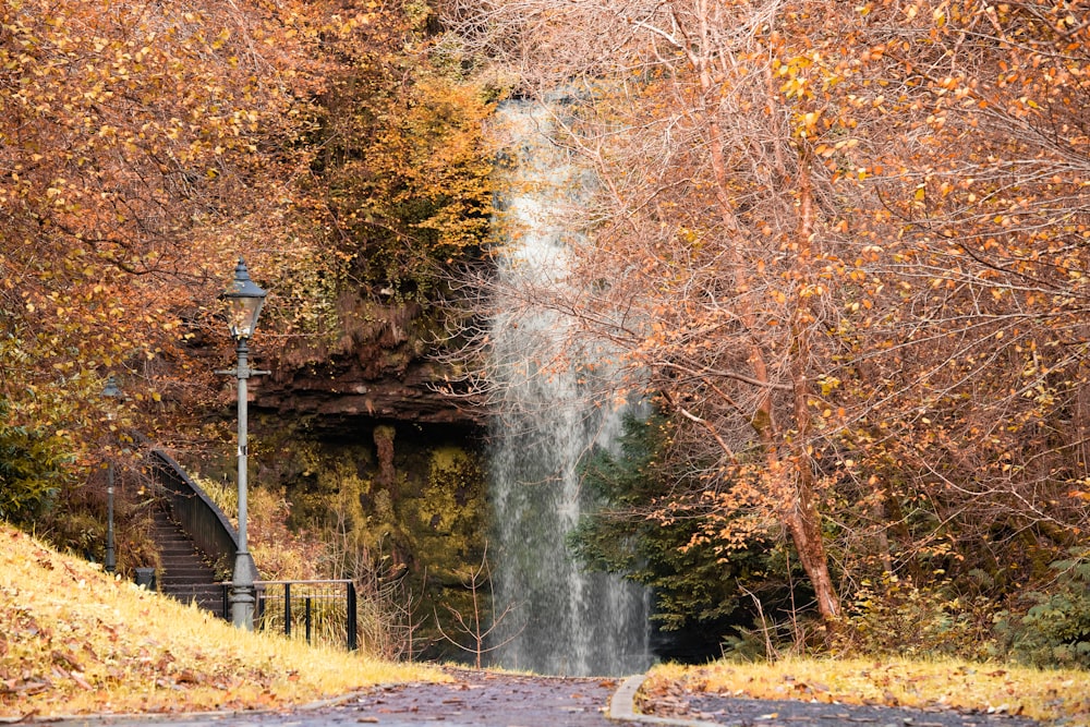 water falls in the middle of the forest