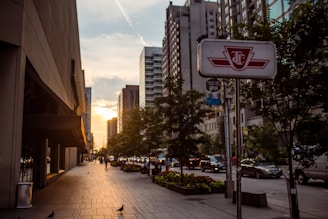 An urban street scene with high-rise buildings lining both sides. A walkway runs parallel to the street, bordered by trees and planters. Cars are parked on the street, and a prominent public transportation sign is visible. Pigeons are seen on the pavement, while the sun sets in the background, casting a warm glow.