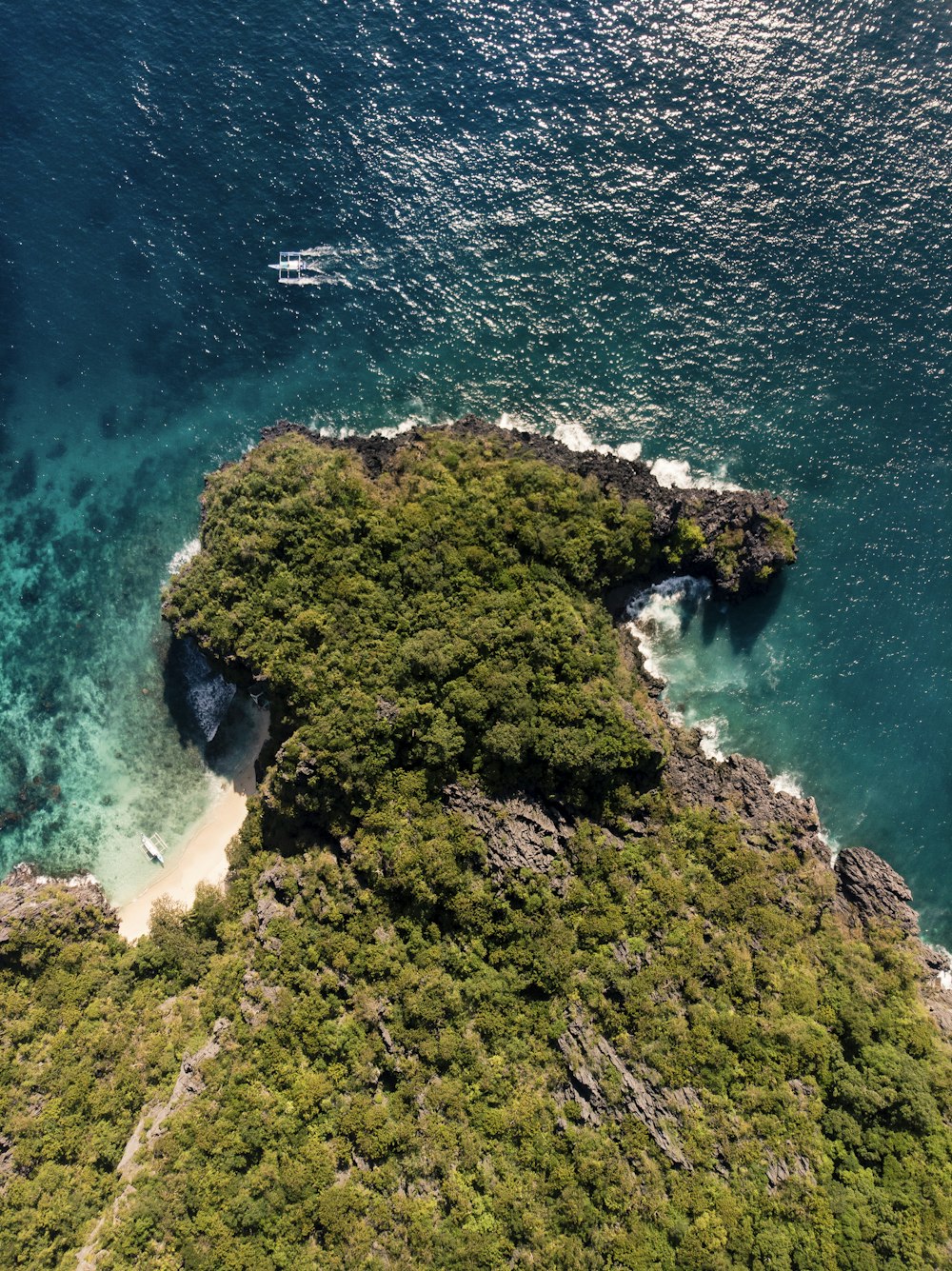 aerial view of green trees on island during daytime