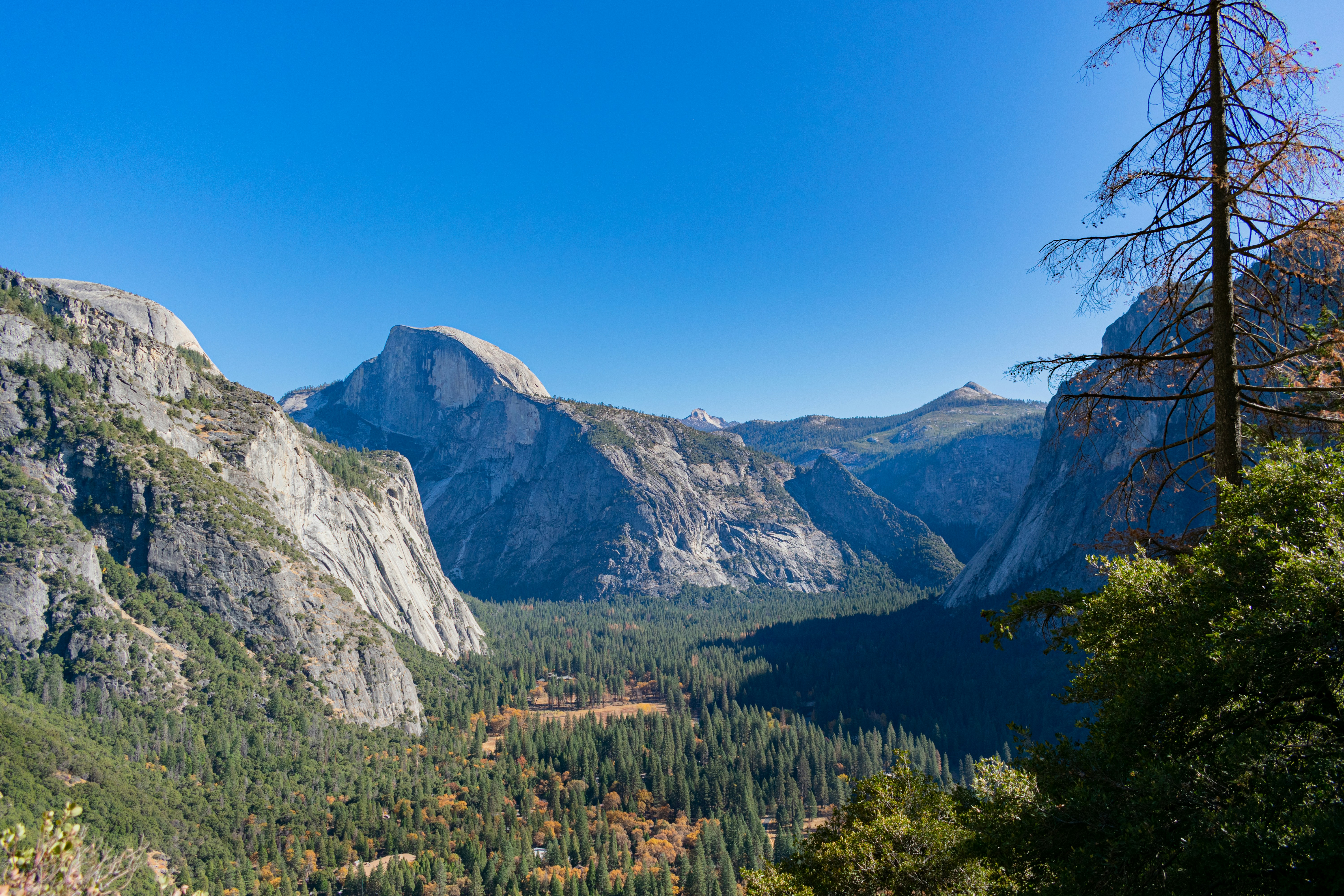 Photo by luisflores762