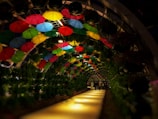 A vibrant tunnel decorated with colorful umbrellas hanging from above, creating a whimsical scene. The tunnel is lined with lush green plants, and a well-lit path runs down the middle, guiding the way. A few people are seen walking along the pathway.
