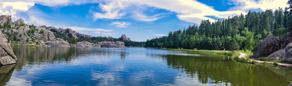 green trees beside body of water under blue sky during daytime