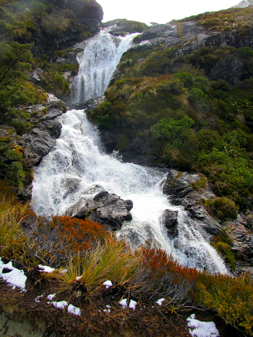 green and brown grass and trees near waterfalls