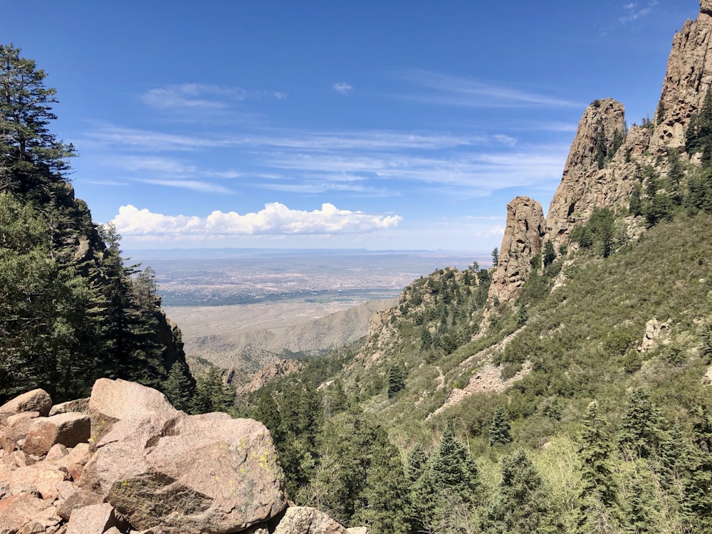 green trees on mountain under blue sky during daytime