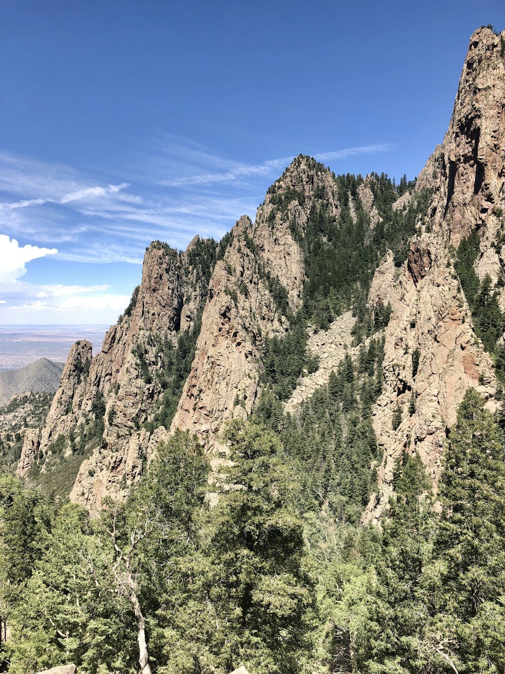 green trees on brown mountain under blue sky during daytime