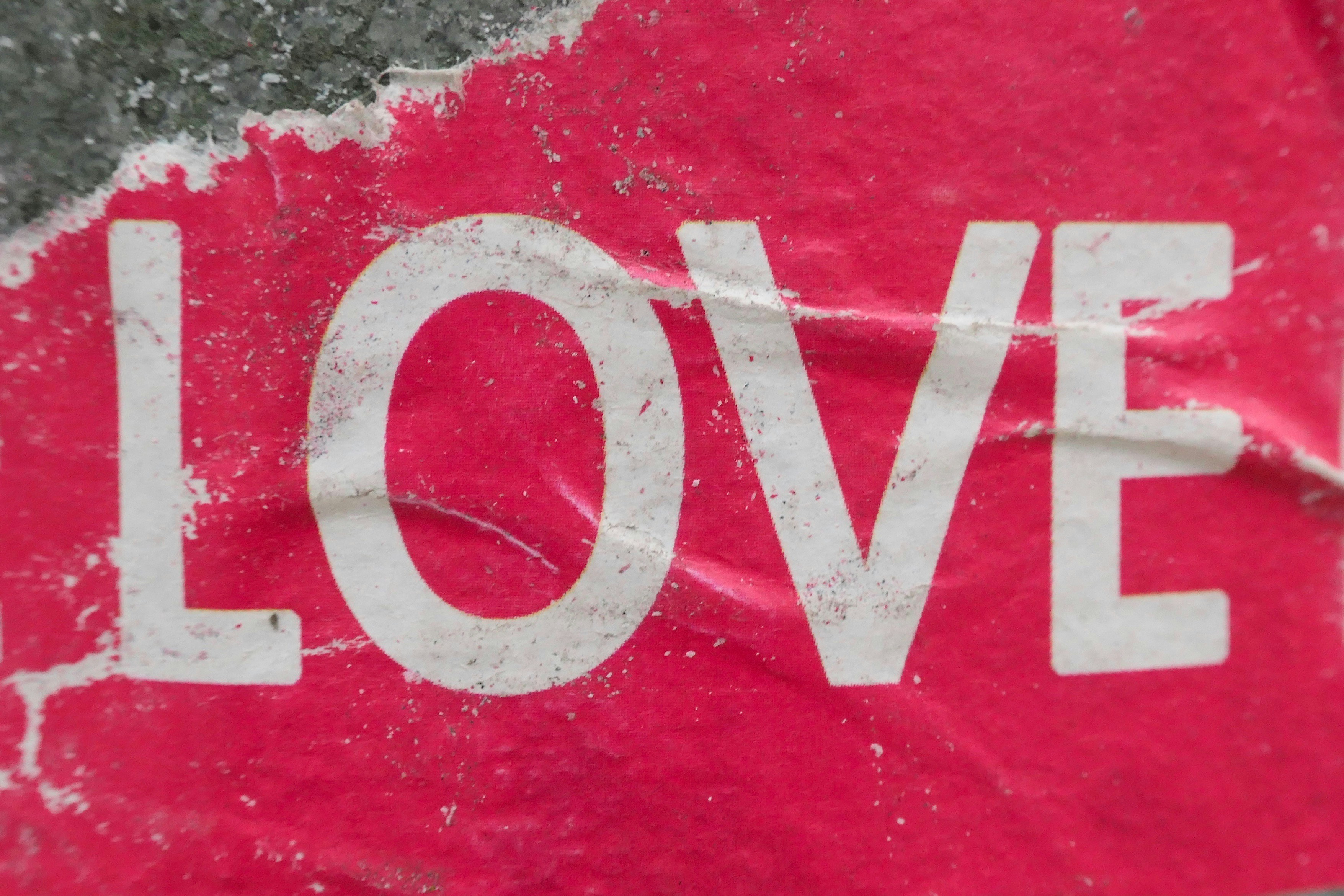The Love Architect: Blueprinting Your Path to Relationship Success