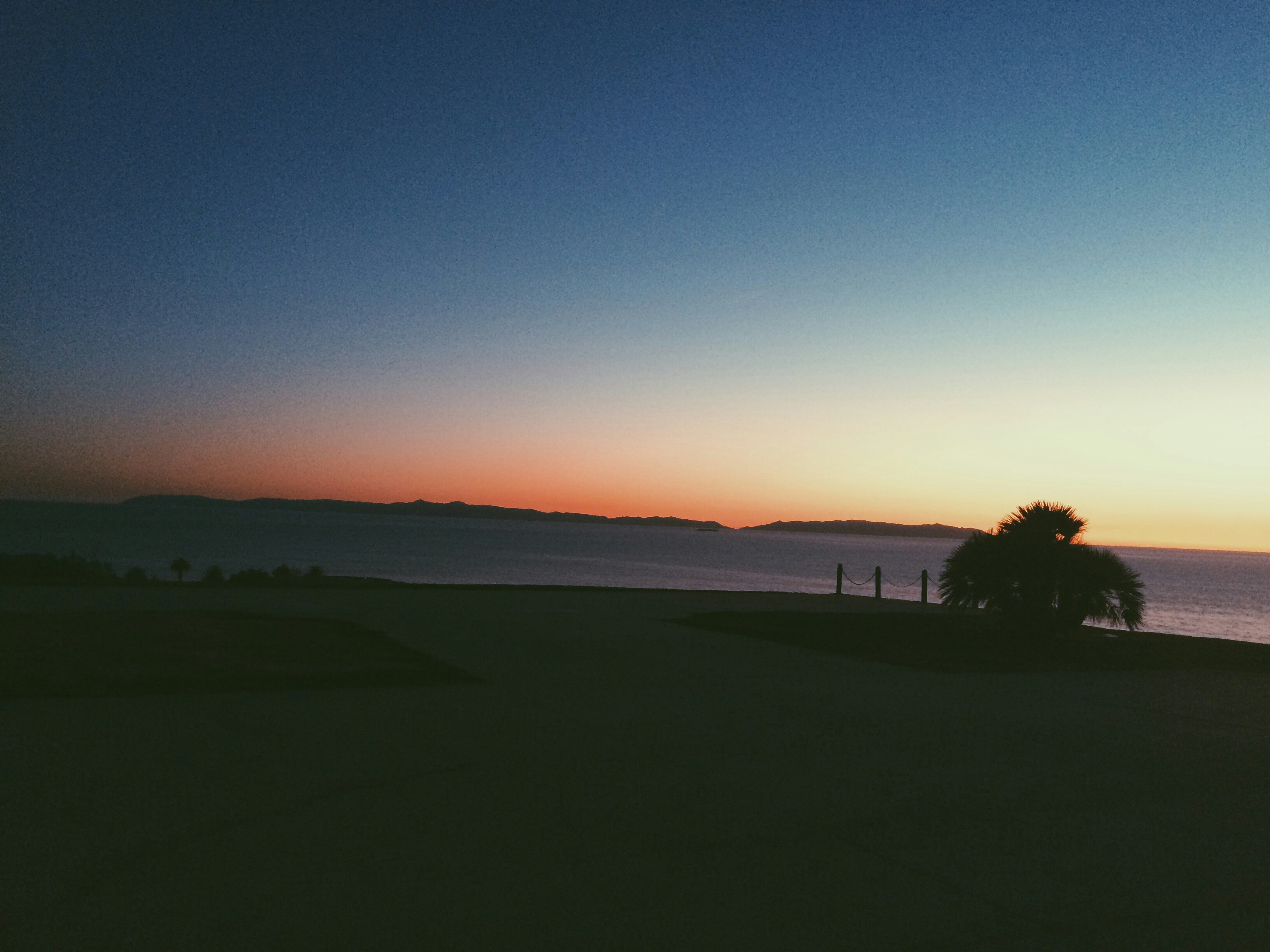Alan Rovira (@arovira01) | Unsplash Photo Community