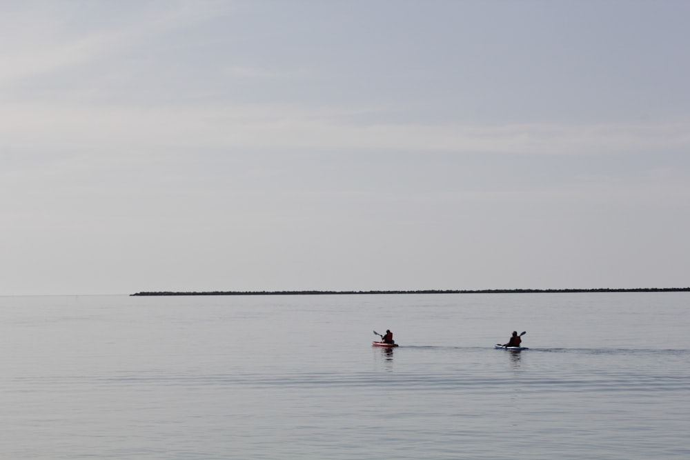 people in the sea during daytime