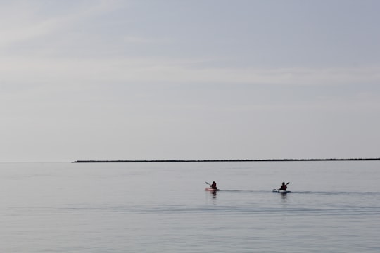 people in the sea during daytime in Adelaide Australia