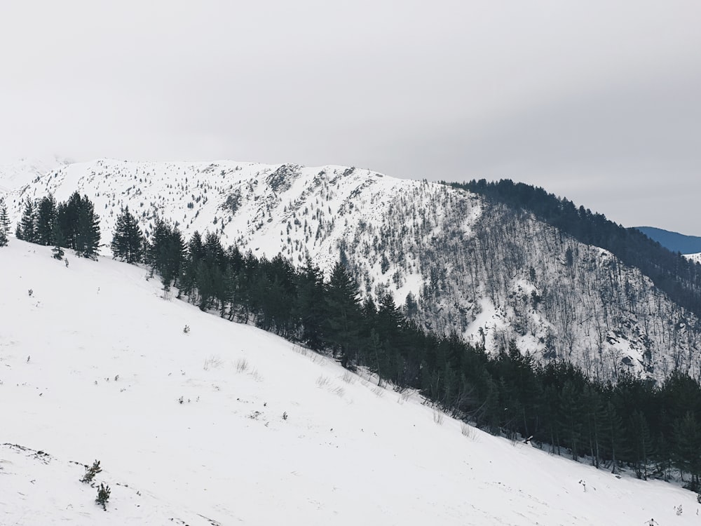 snow covered mountain during daytime