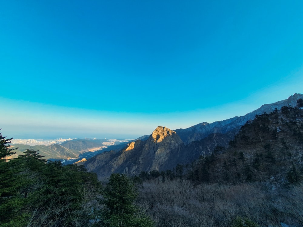 낮에는 푸른 하늘 아래 산에 푸른 나무가 우거져 있습니다.