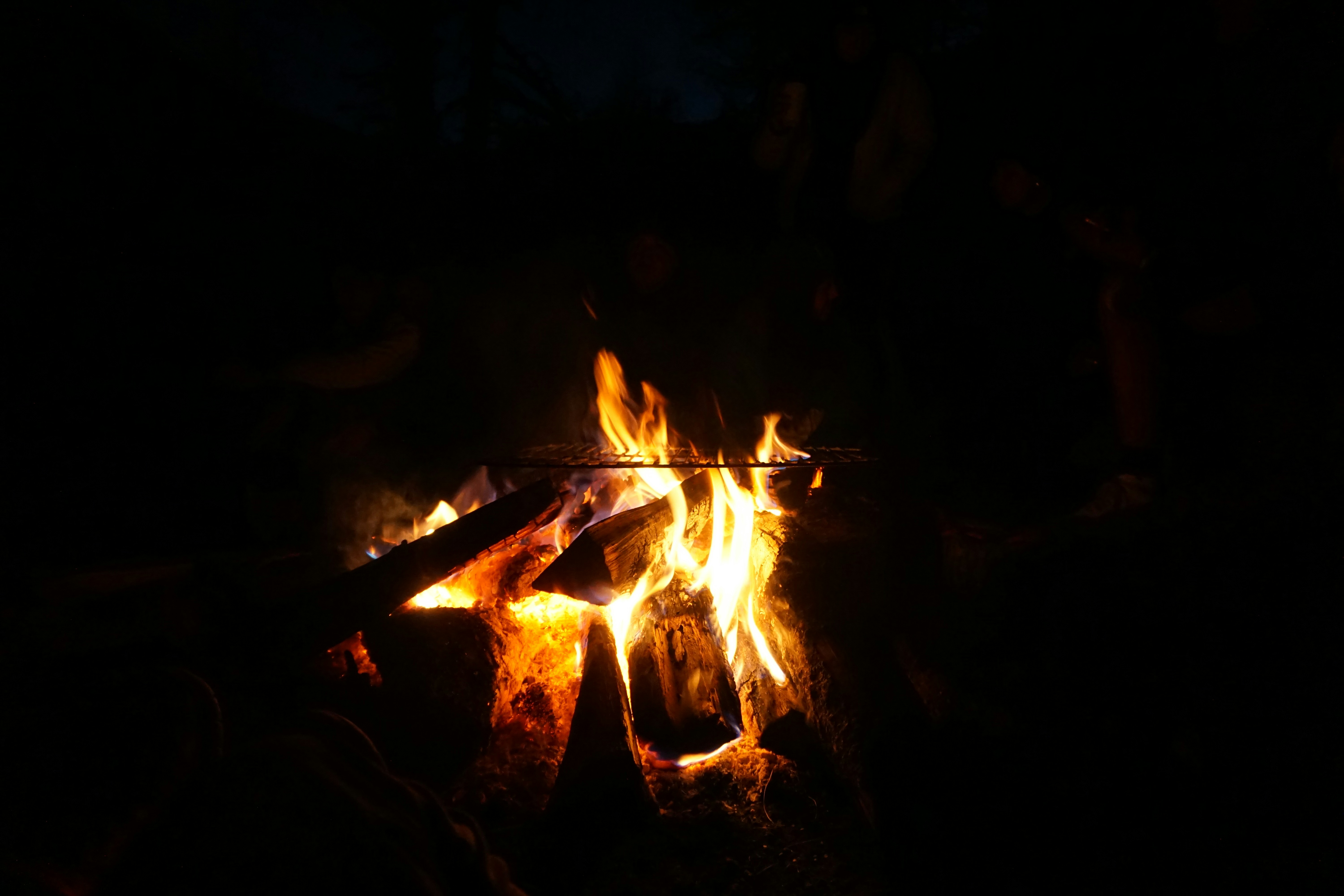 Oheň zvedavosti: Ako poznanie roznietili naši predkov