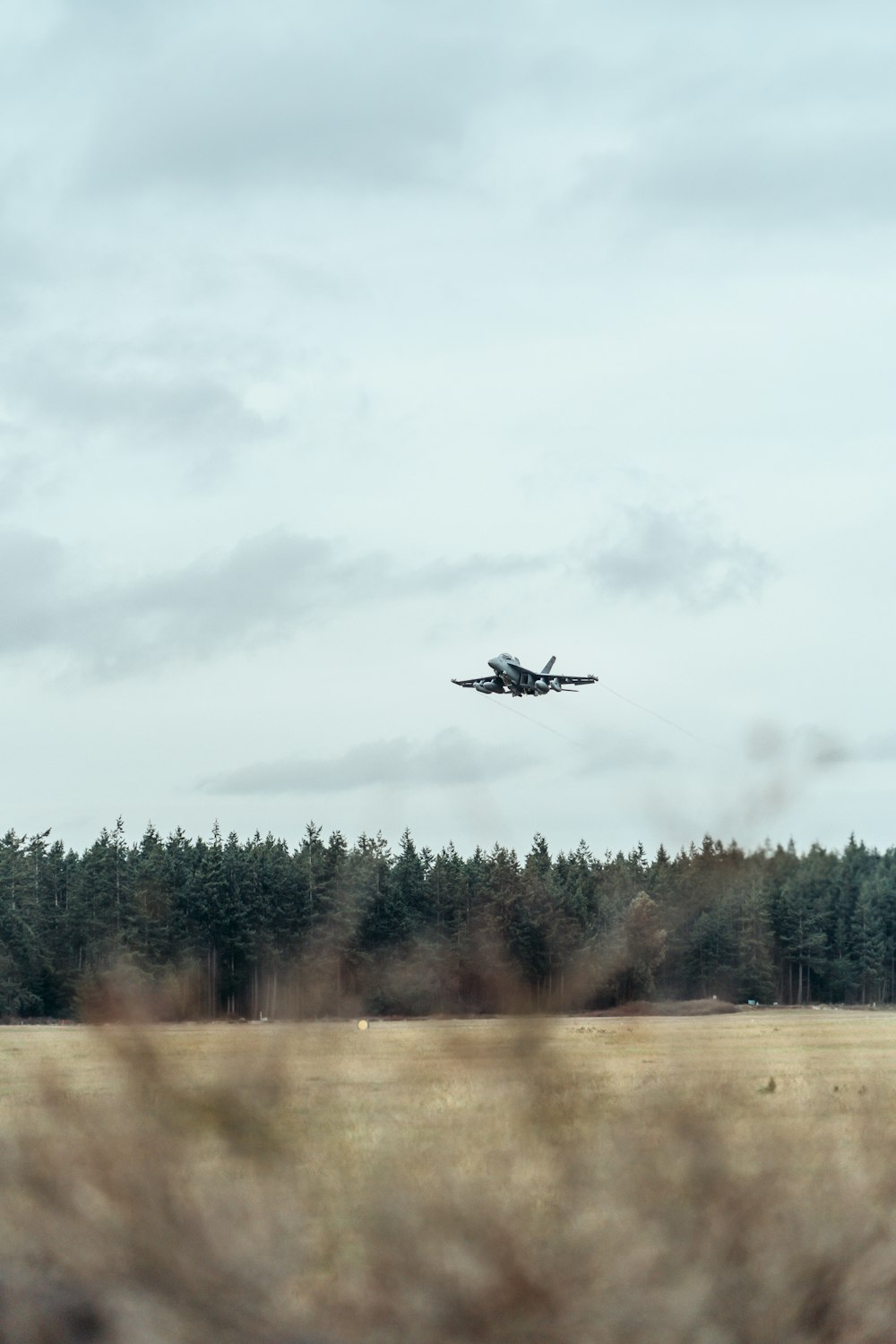 black and white airplane flying over green trees during daytime