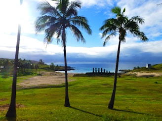A scenic landscape featuring a grassy foreground and tall palm trees framing a view of stone statues against the backdrop of a blue ocean and cloudy sky. The sun is shining brightly, casting light on the lush green landscape.