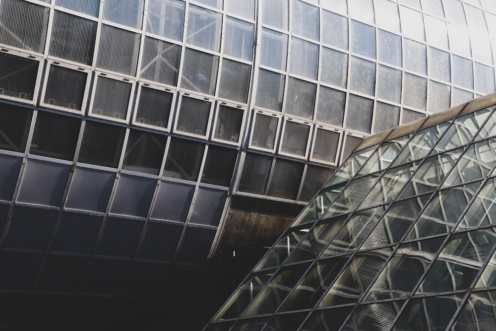 clear glass walled building during daytime