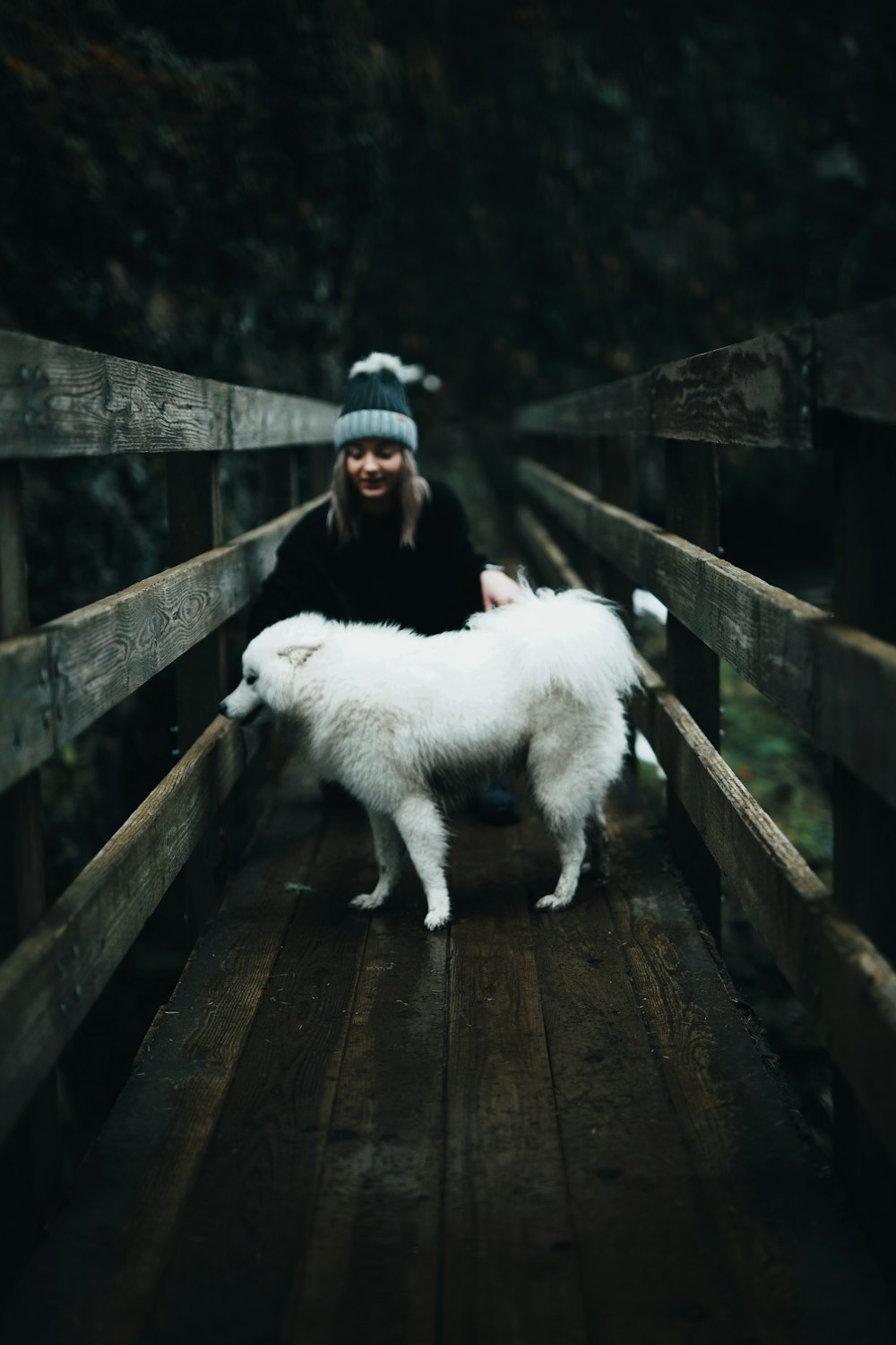 homem na jaqueta preta sentado na ponte de madeira marrom com o cão branco
