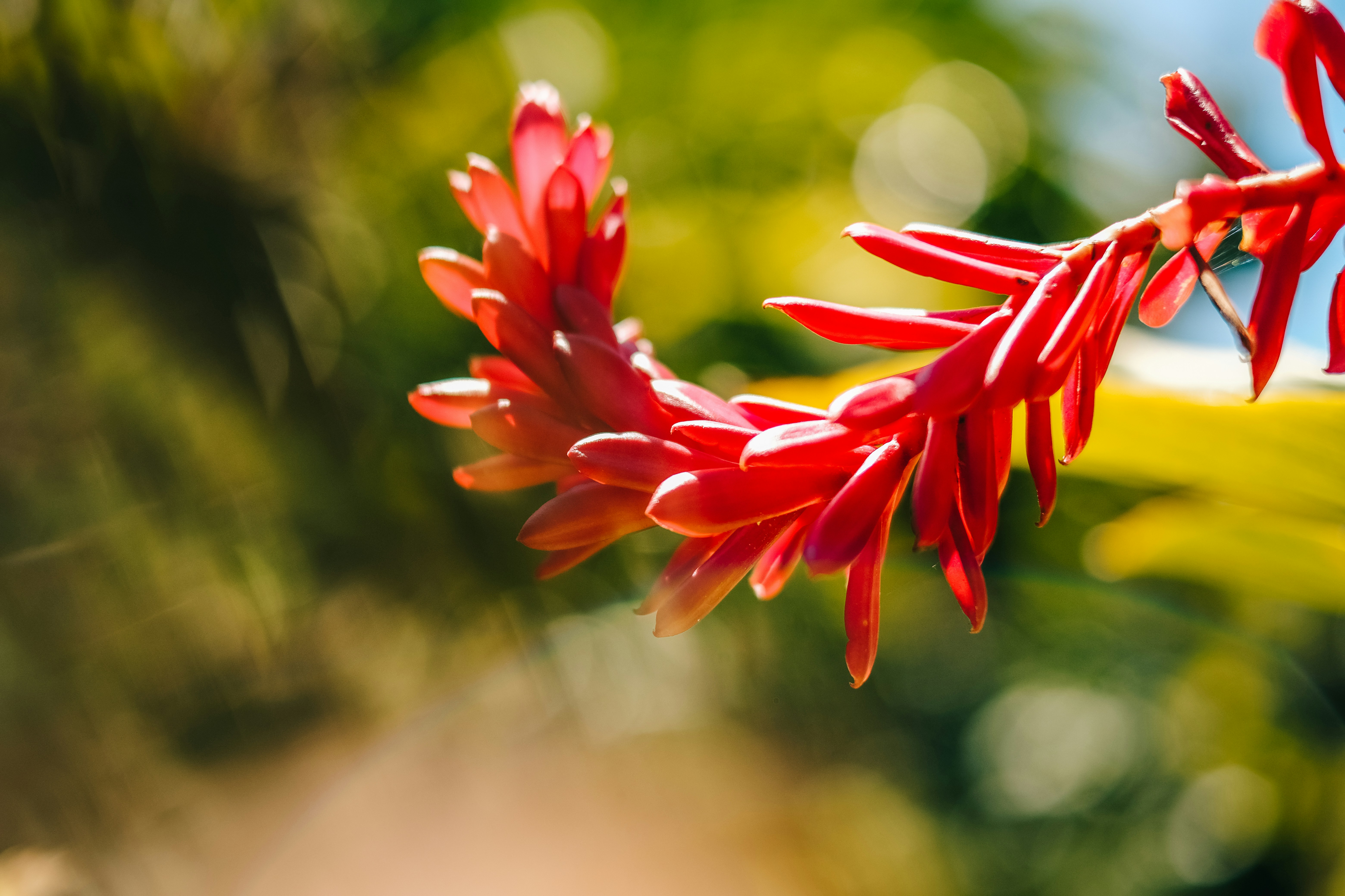 Photo by sherardcampy