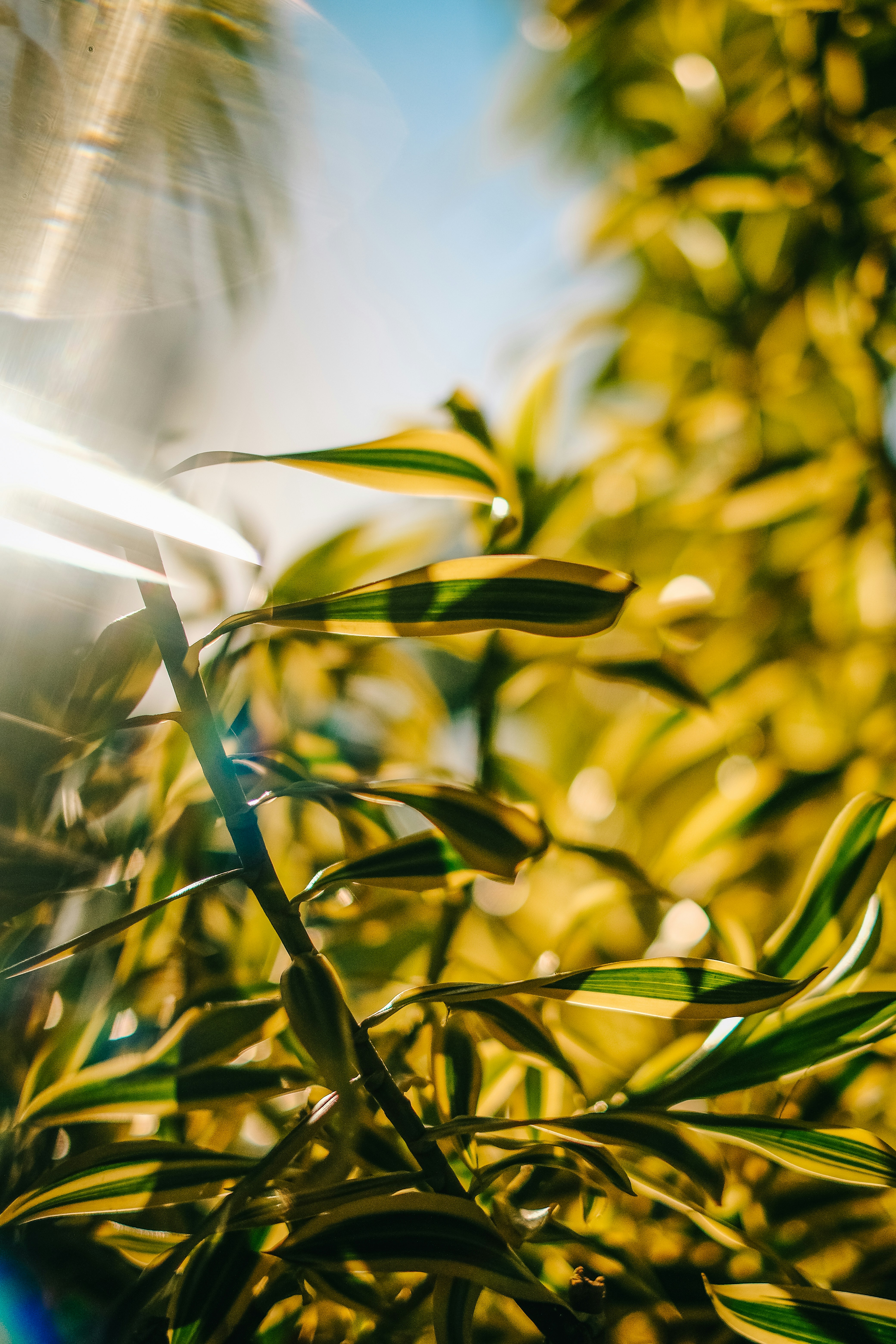 Photo by sherardcampy