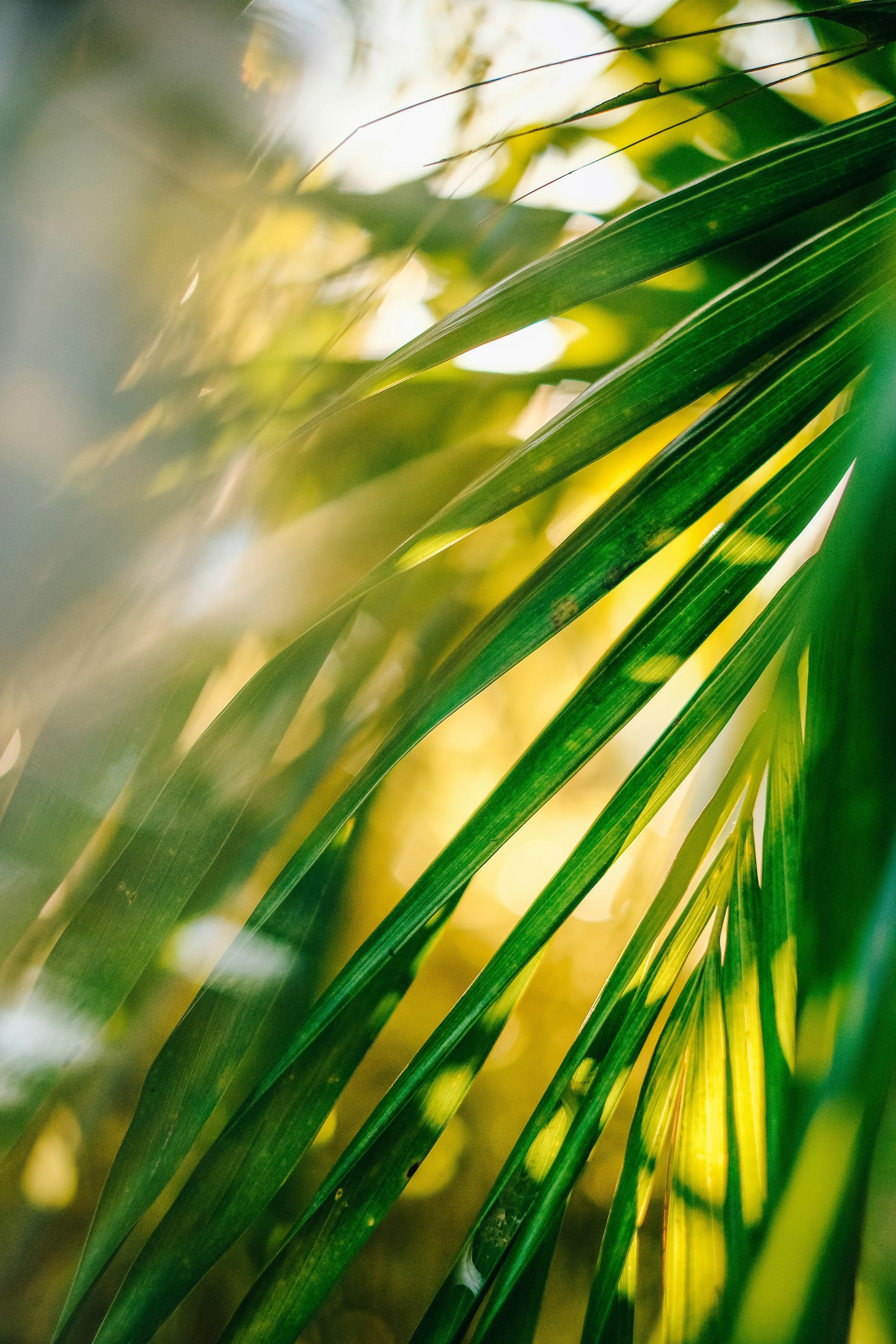 Photo by sherardcampy