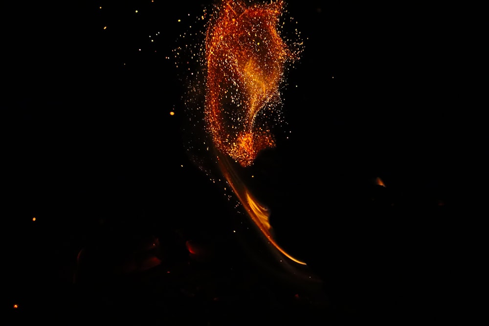 orange and yellow fire during night time