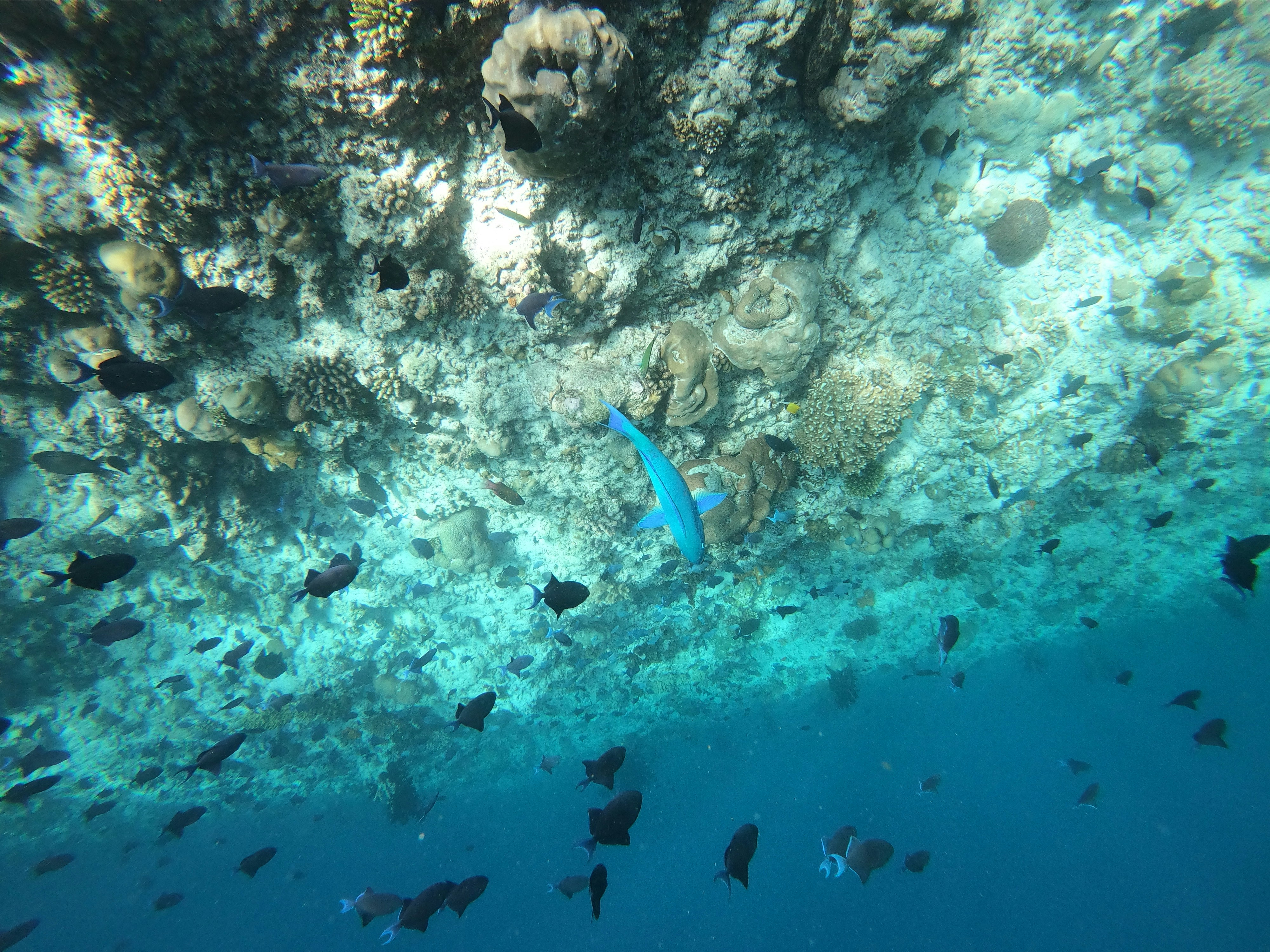 Photo by matildaviking