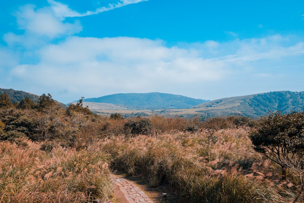 brown grass field near mountain under blue sky during daytime