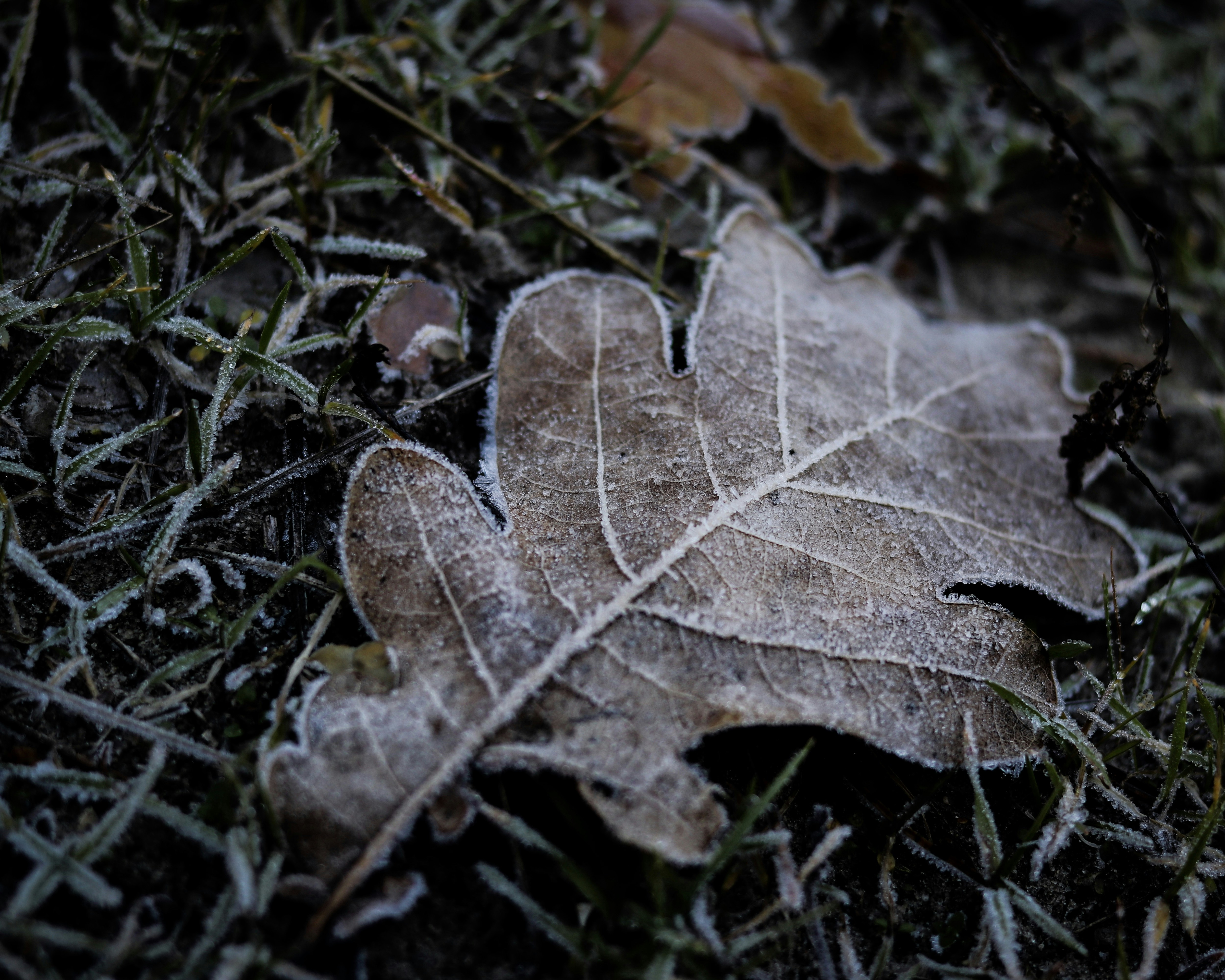 Photo by create4eyes