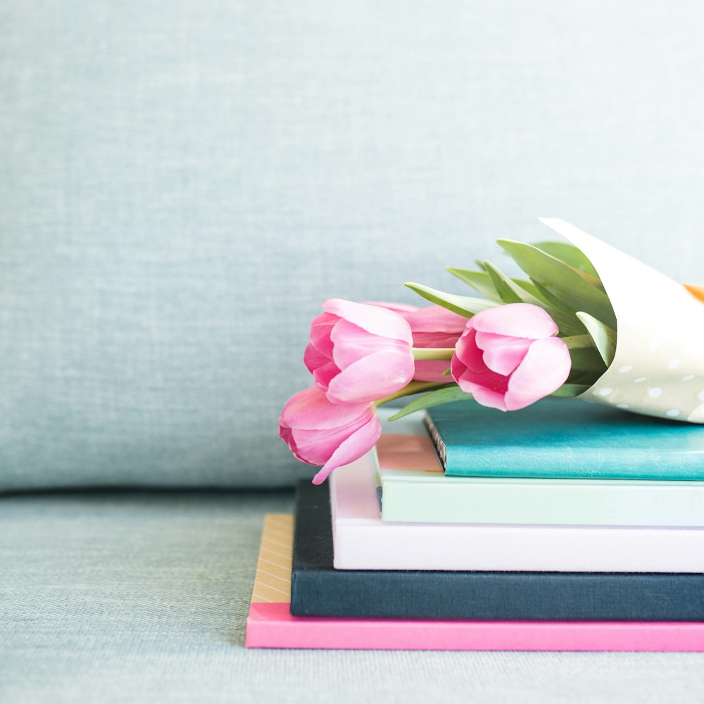 pink rose on book page