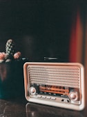 A vintage radio with a retro design is situated next to a potted cactus on a wooden surface. The radio features a metallic finish with a visible tuning scale, and the cactus has small spines and tufts of pink flowers. A warm, slightly reddish light adds an atmospheric glow to the scene.