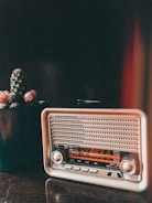 A vintage radio with a retro design is situated next to a potted cactus on a wooden surface. The radio features a metallic finish with a visible tuning scale, and the cactus has small spines and tufts of pink flowers. A warm, slightly reddish light adds an atmospheric glow to the scene.