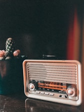 A vintage radio with a retro design is situated next to a potted cactus on a wooden surface. The radio features a metallic finish with a visible tuning scale, and the cactus has small spines and tufts of pink flowers. A warm, slightly reddish light adds an atmospheric glow to the scene.