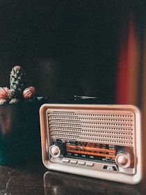 A vintage radio with a retro design is situated next to a potted cactus on a wooden surface. The radio features a metallic finish with a visible tuning scale, and the cactus has small spines and tufts of pink flowers. A warm, slightly reddish light adds an atmospheric glow to the scene.