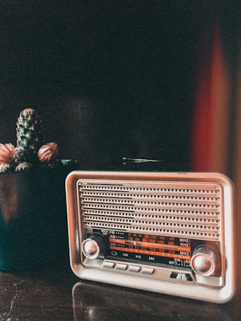 A vintage radio with a retro design is situated next to a potted cactus on a wooden surface. The radio features a metallic finish with a visible tuning scale, and the cactus has small spines and tufts of pink flowers. A warm, slightly reddish light adds an atmospheric glow to the scene.