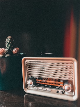A vintage radio with a retro design is situated next to a potted cactus on a wooden surface. The radio features a metallic finish with a visible tuning scale, and the cactus has small spines and tufts of pink flowers. A warm, slightly reddish light adds an atmospheric glow to the scene.