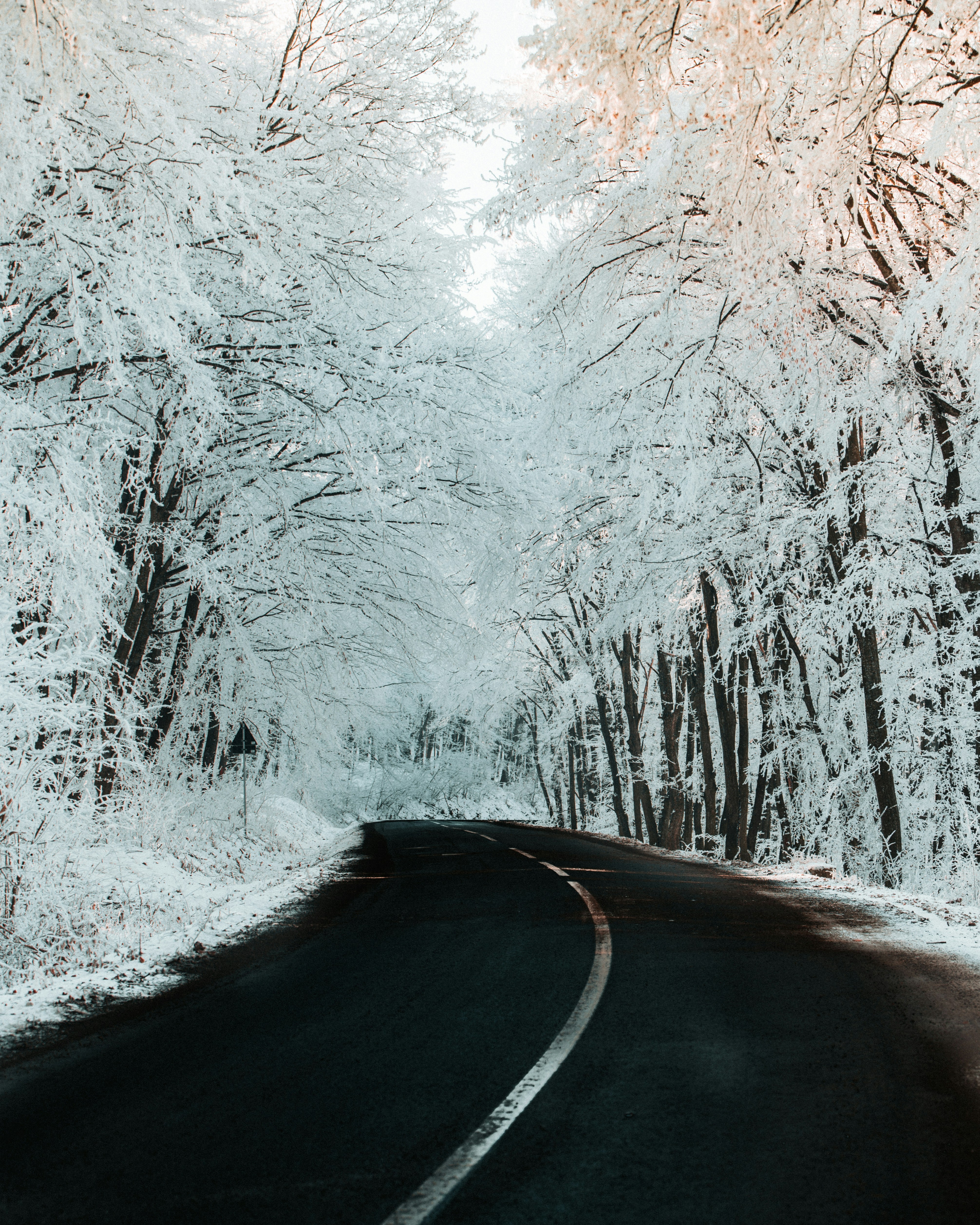 Photo by tamas_tuzeskatai