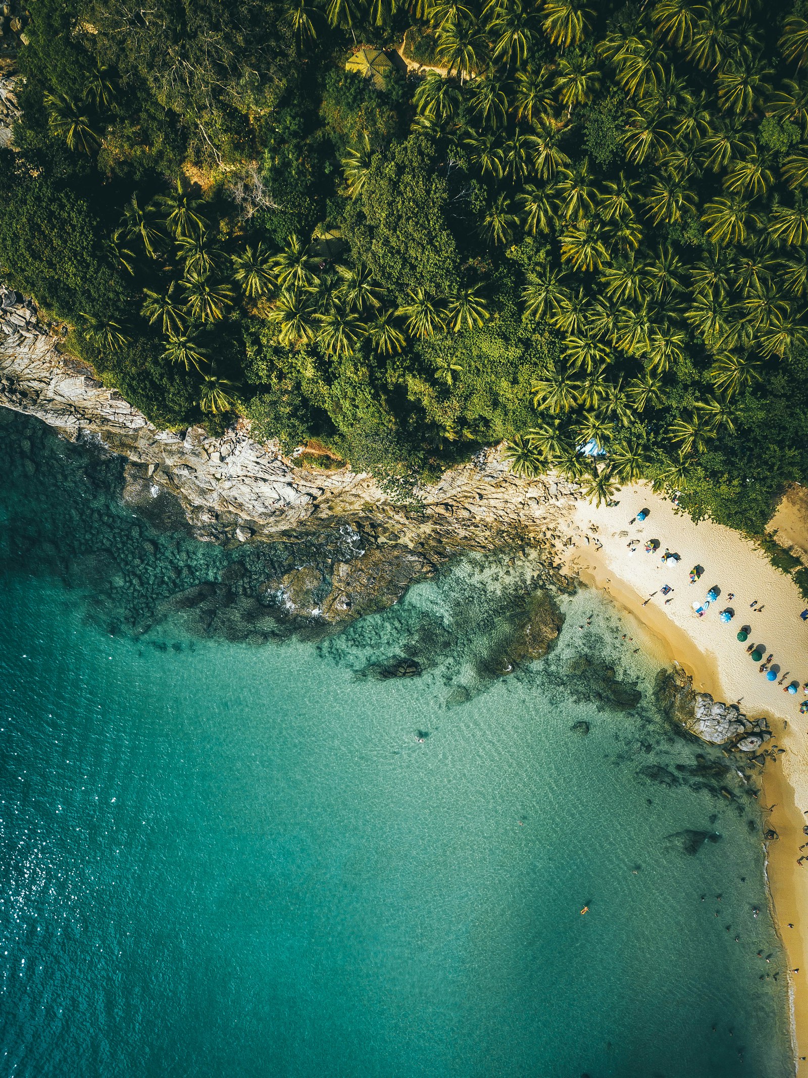 Aerial view of tropical island with green trees beside blue sea, Thailand