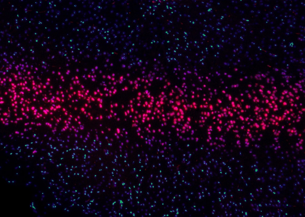 étoiles rouges et noires dans le ciel