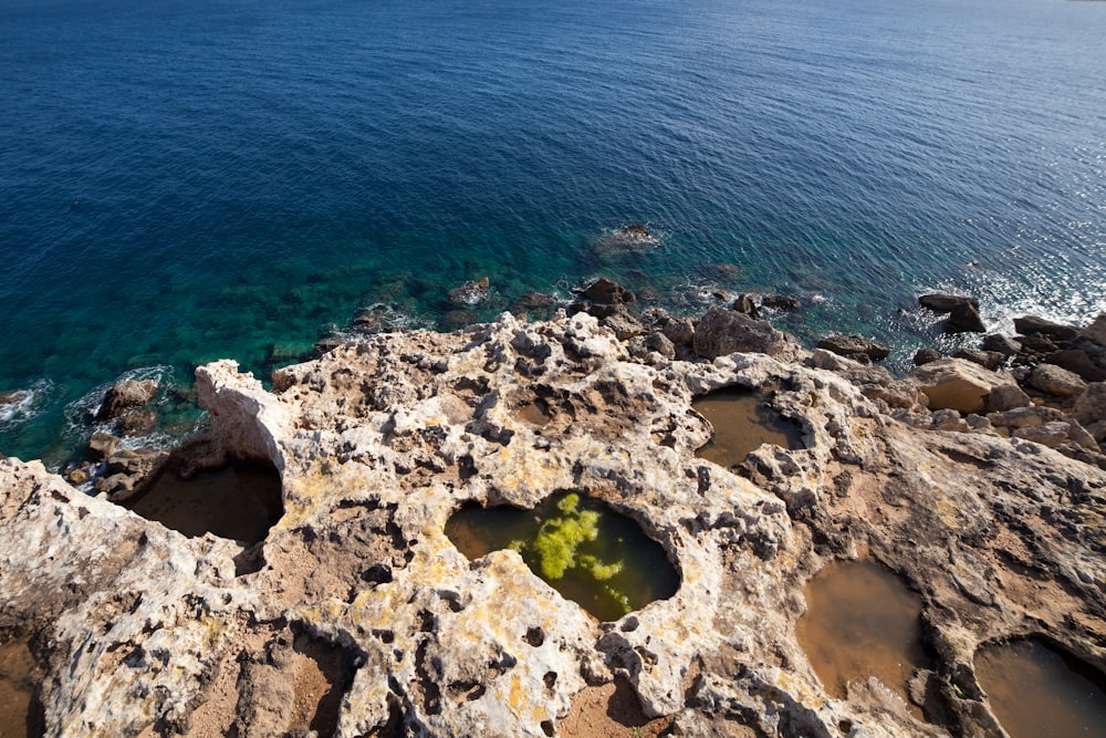 musgo verde na rocha marrom perto do corpo de água durante o dia