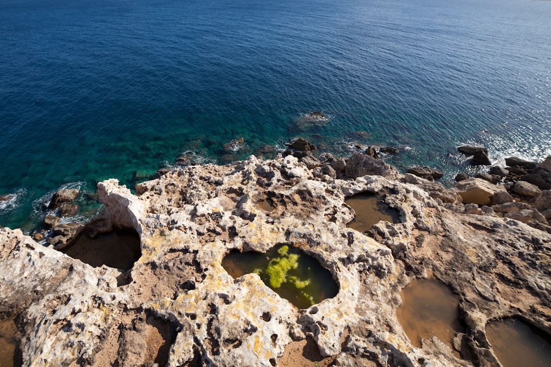 green moss on brown rock near body of water during daytime