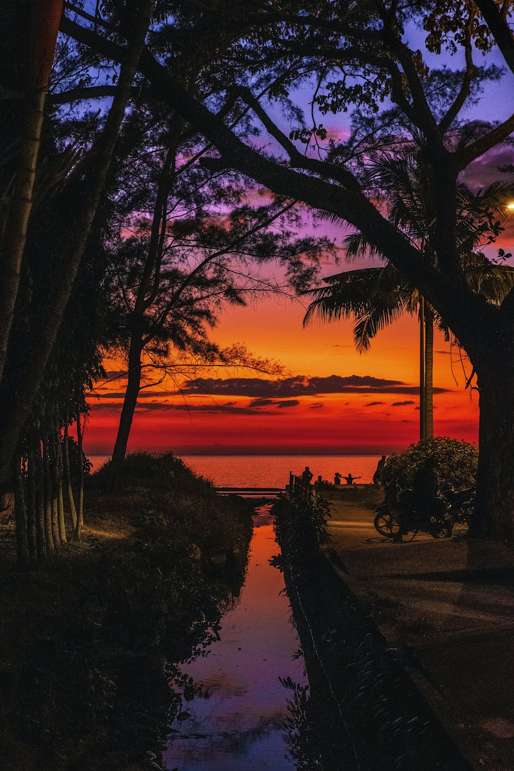 Silhouette von Bäumen in der Nähe eines Gewässers während des Sonnenuntergangs