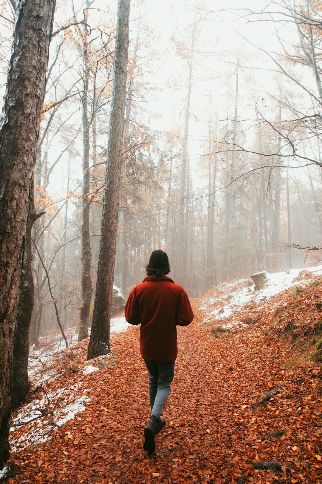 man in red hoodie standing on brown dried leaves covered ground in forest during daytime