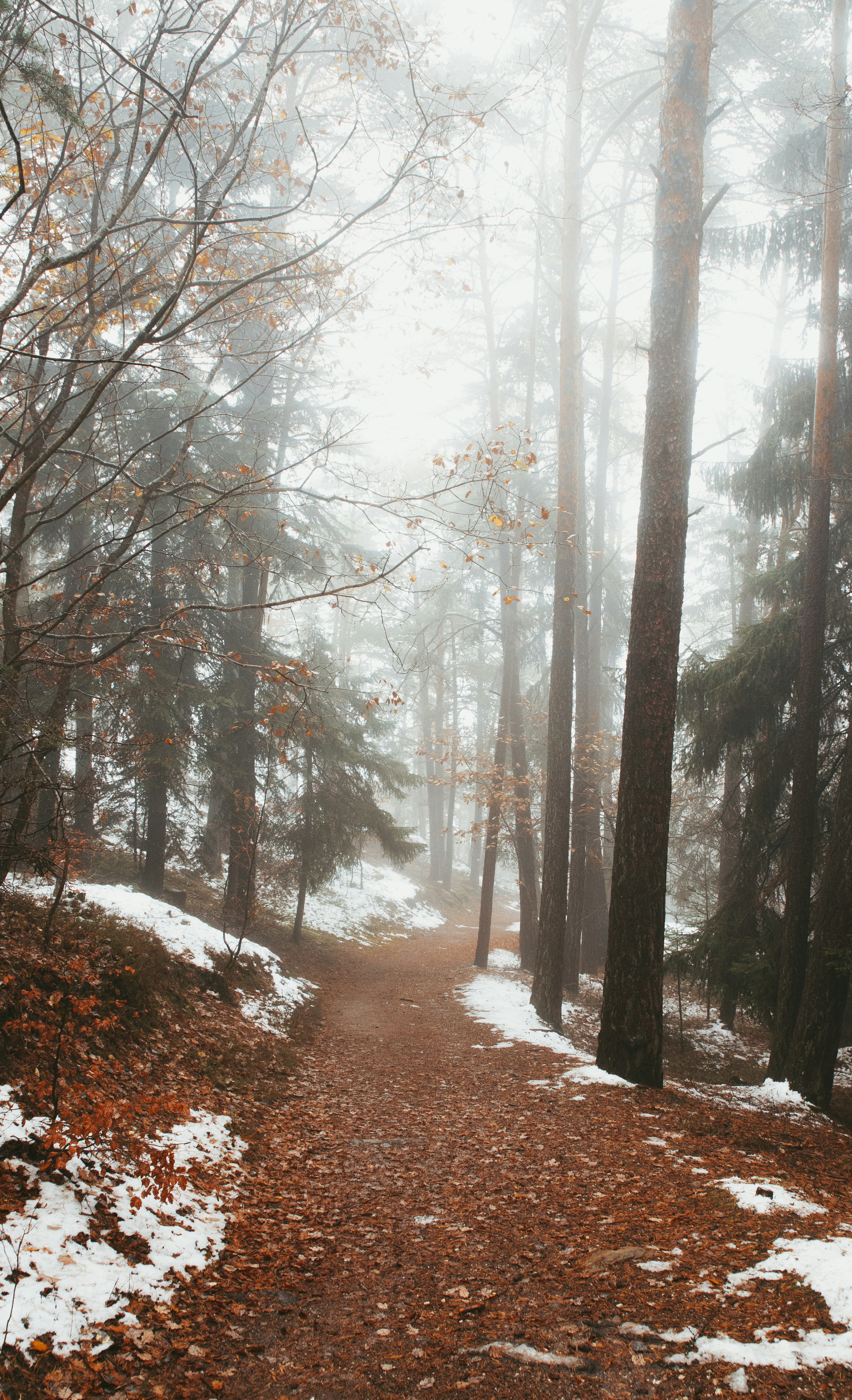 Photo by jadestephens