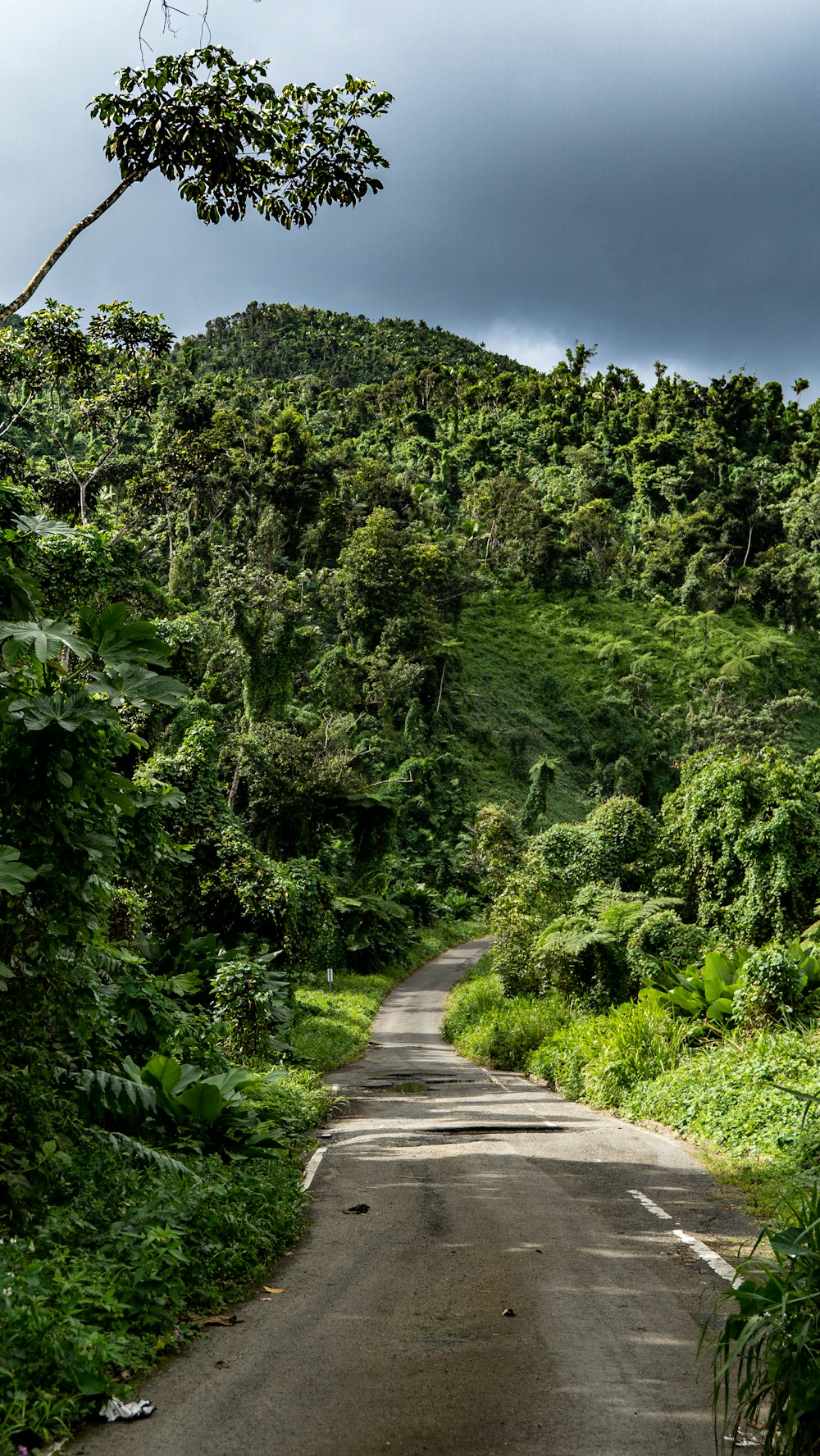 gray concrete road between green trees under blue sky during daytime