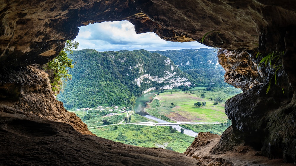 campo de grama verde e árvores durante o dia