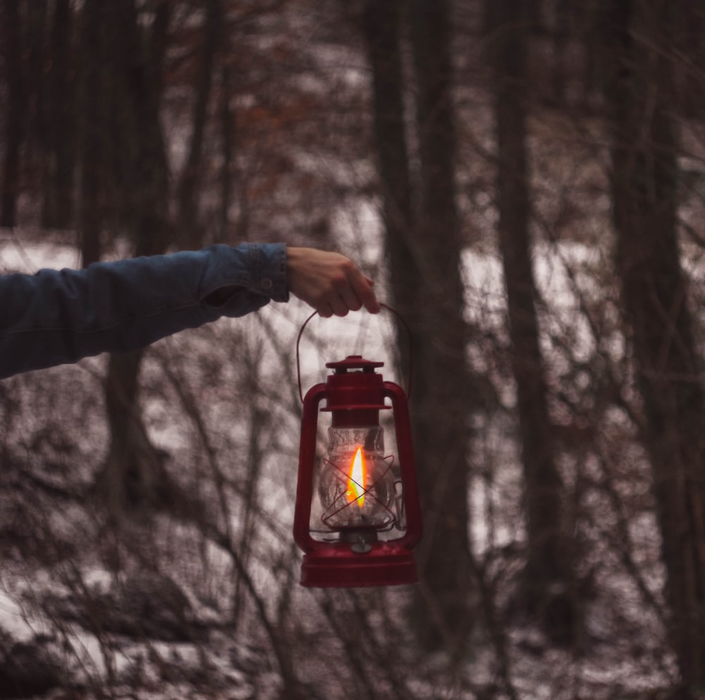 person holding red and black lantern