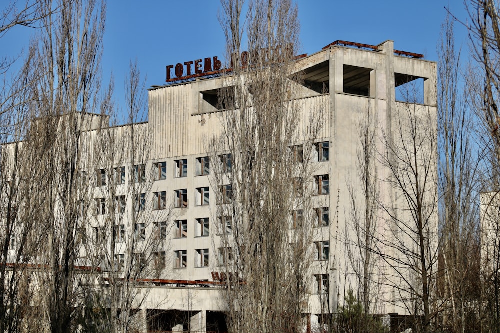 brown bare trees near white concrete building during daytime