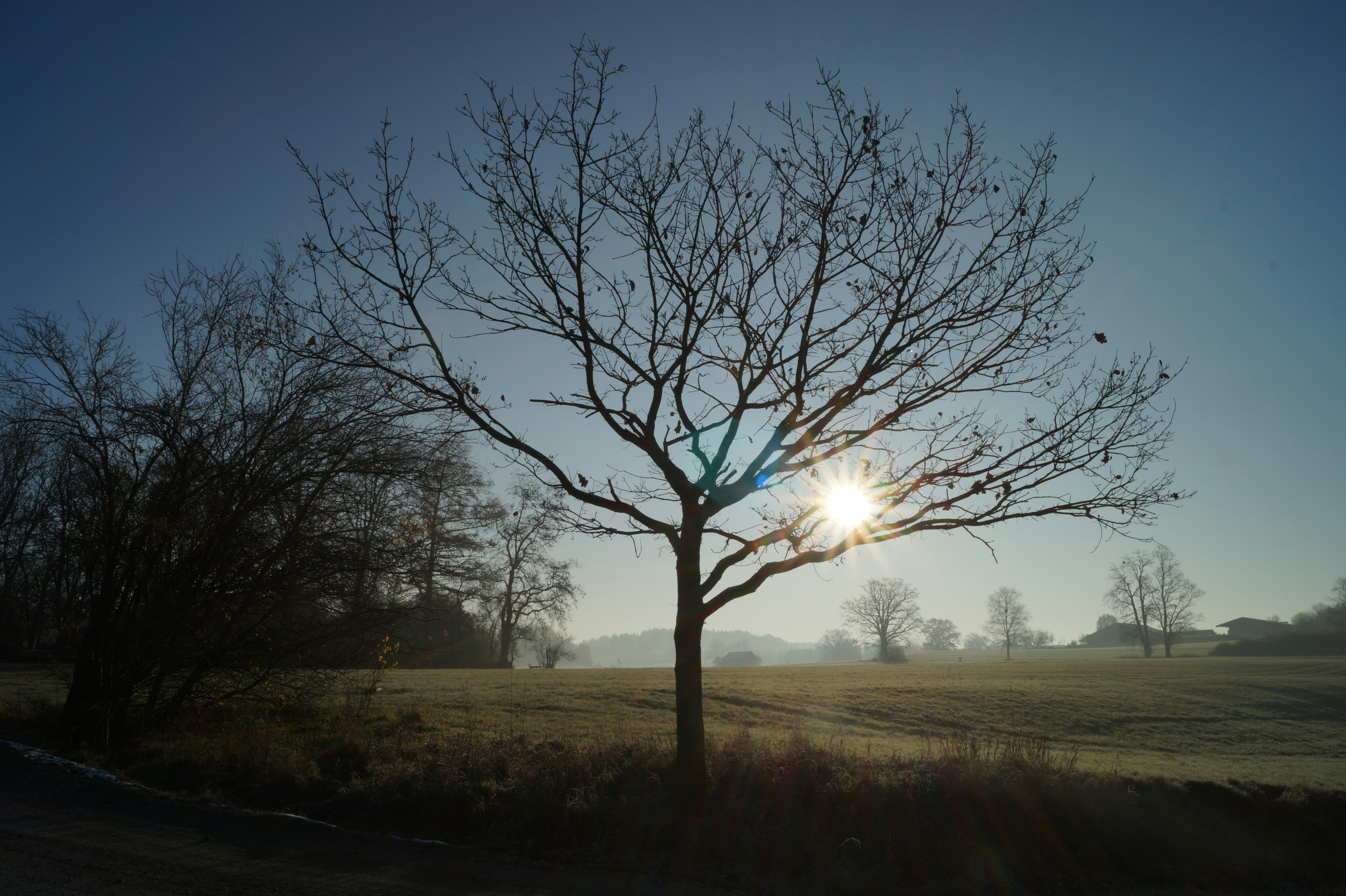 Photo by stefanie_puetterich