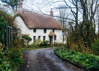 white and brown house near trees